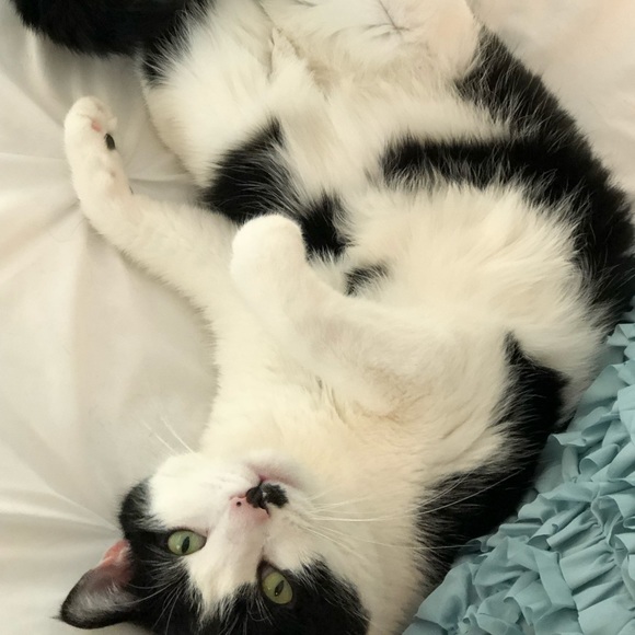 Meet your Posher, Rebecca - Picture 4 of 5